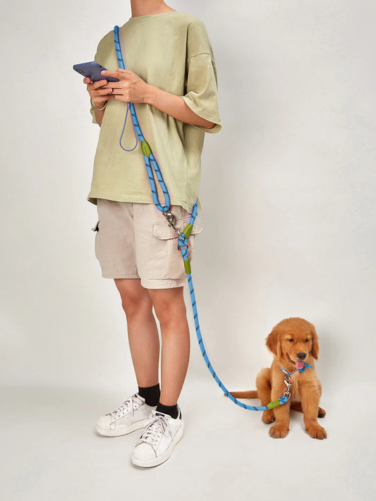 Reflective Nylon Dog Leash  (Small Dogs)