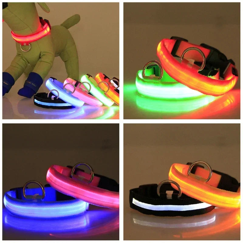 LED Dog Collar for Night walks.