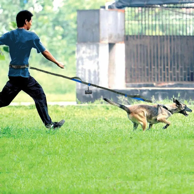 Hands Free Reflective Leash