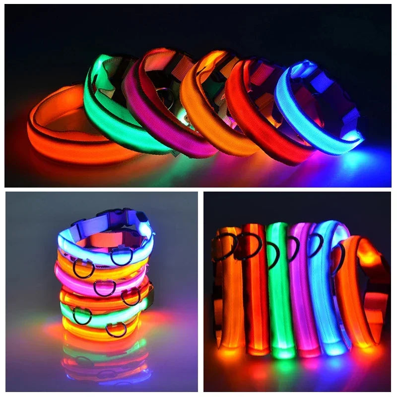 LED Dog Collar for Night walks.