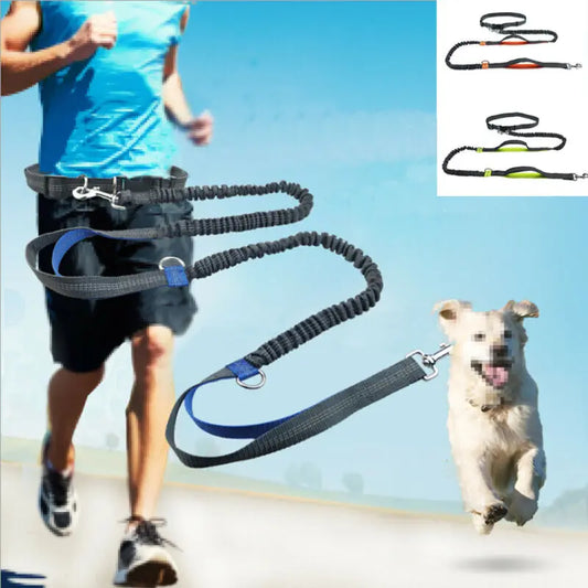 Hands Free Reflective Leash