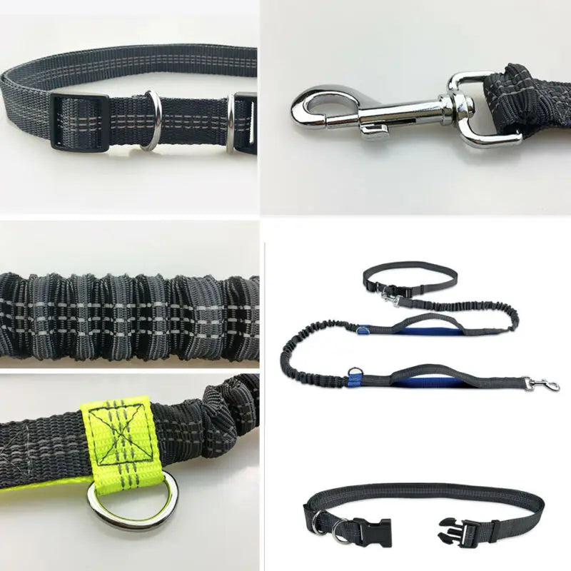 Hands Free Reflective Leash