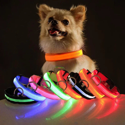 LED Dog Collar for Night walks.